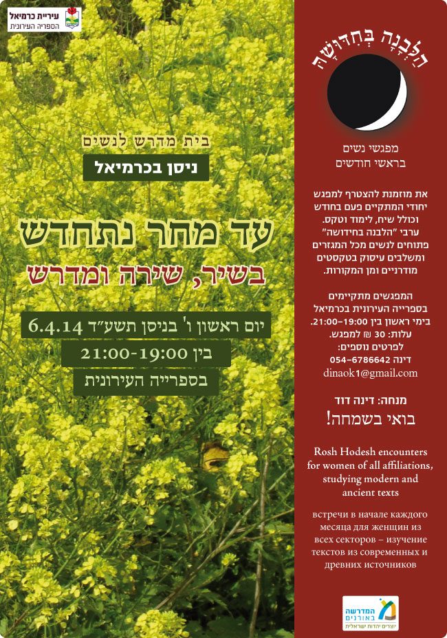 כרמיאל 6.4