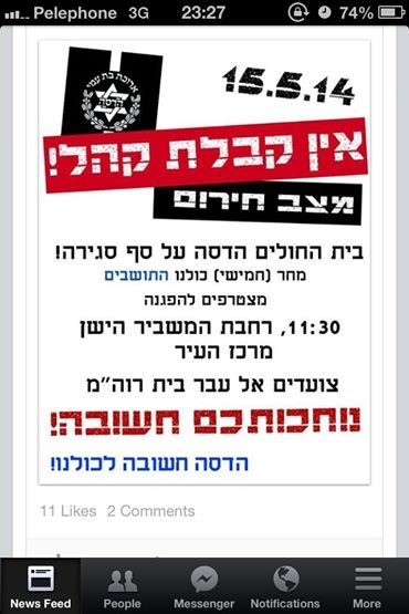 הדסה 15.5