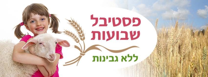 שבועות ללא גבינות 4.6